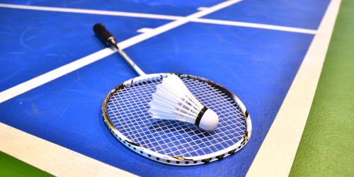 Badminton pôle espoirs