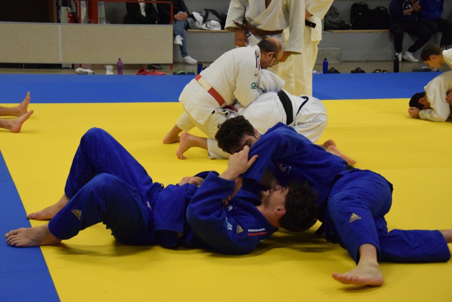Photo judo en action