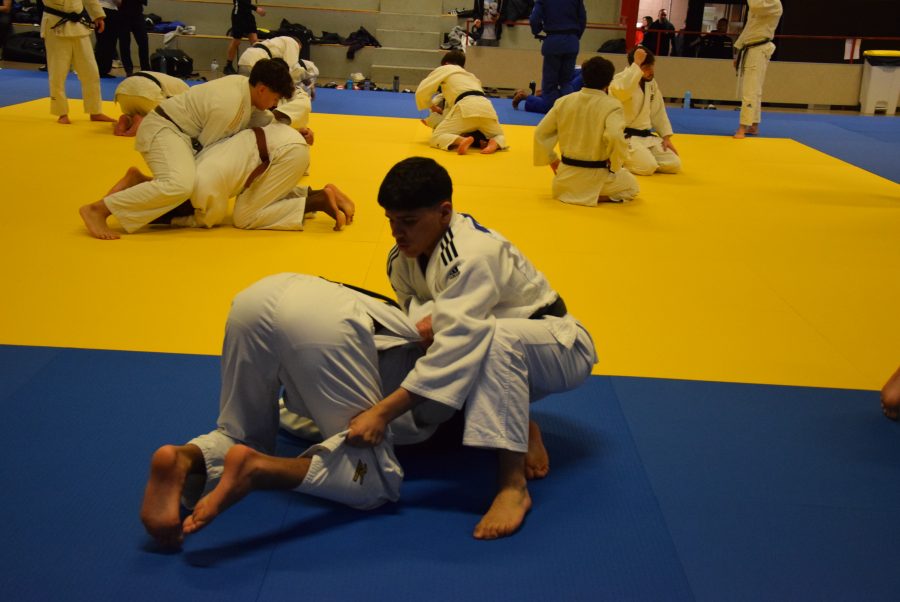Judo en action
