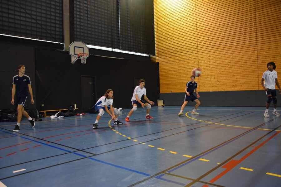 Gymnase sport co 2 volley