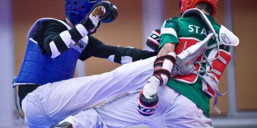 Photo pôle taekwondo