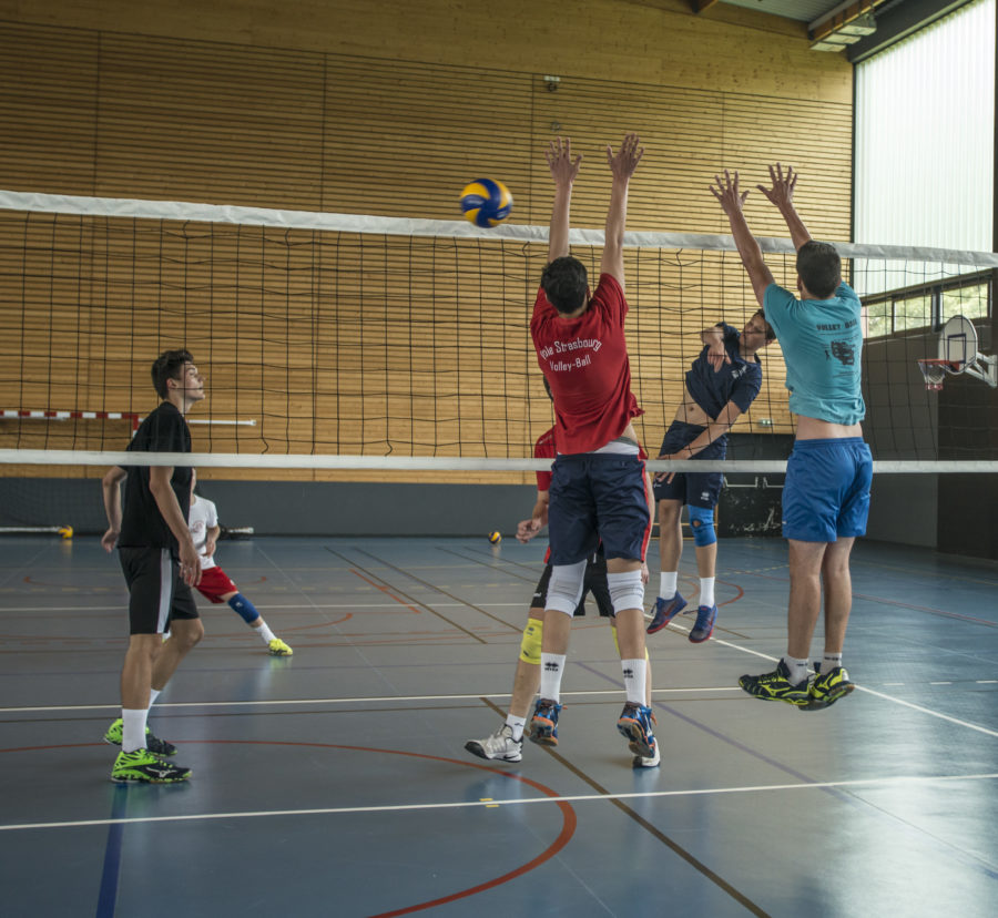 Image 6 joueurs de volley-ball