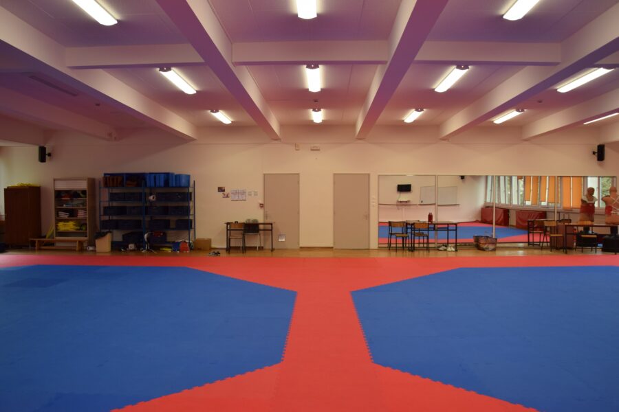 Photo salle de Taekwondo 2